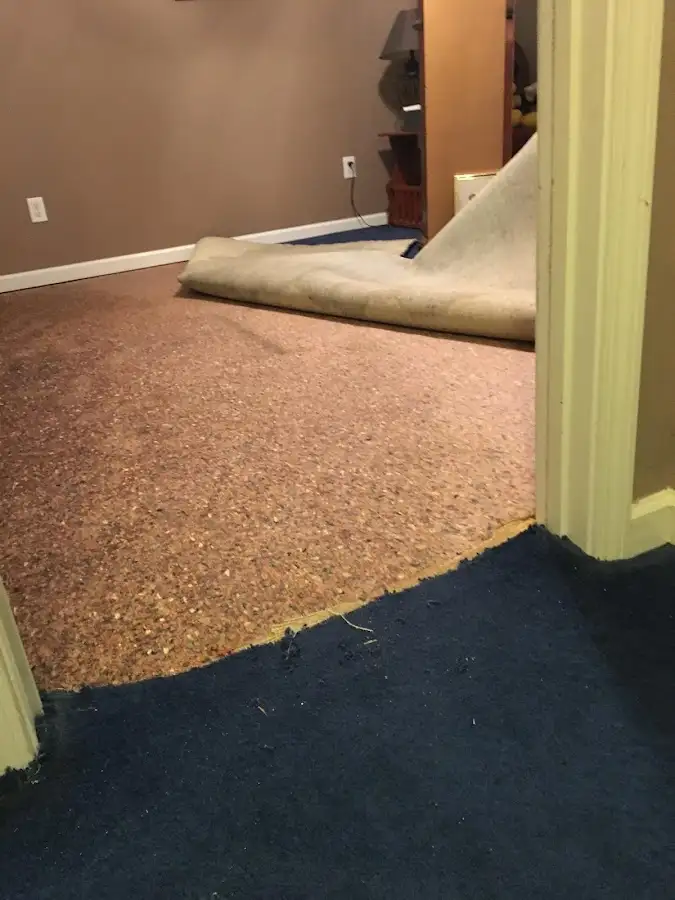 Carpet pad removal revealing water damage during Water Mitigation Services in Santa Barbara